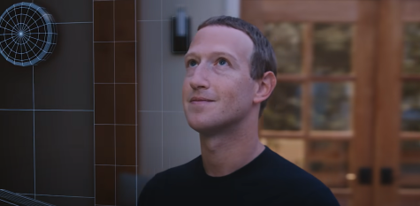 Mark Zuckerberg has one foot in reality, the other in the digital world.