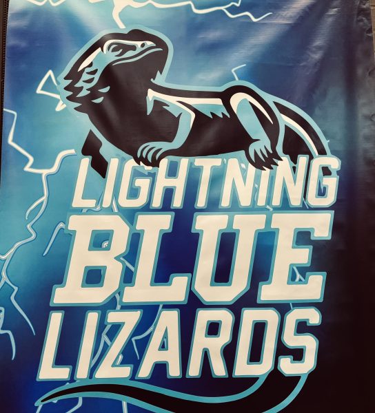Lightning Blue Lizards: The Journey of Robotics Team