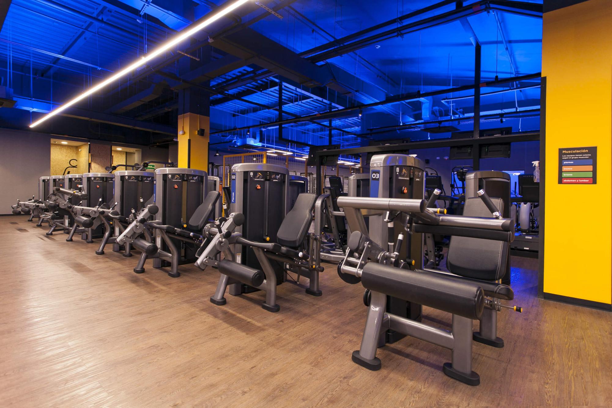 Battle of the Gyms: Smart Fit vs. Body Tech – Which Will Shape Your ...