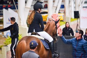 Riding the Rings: A Journey Through Equestrian Practice Competitions