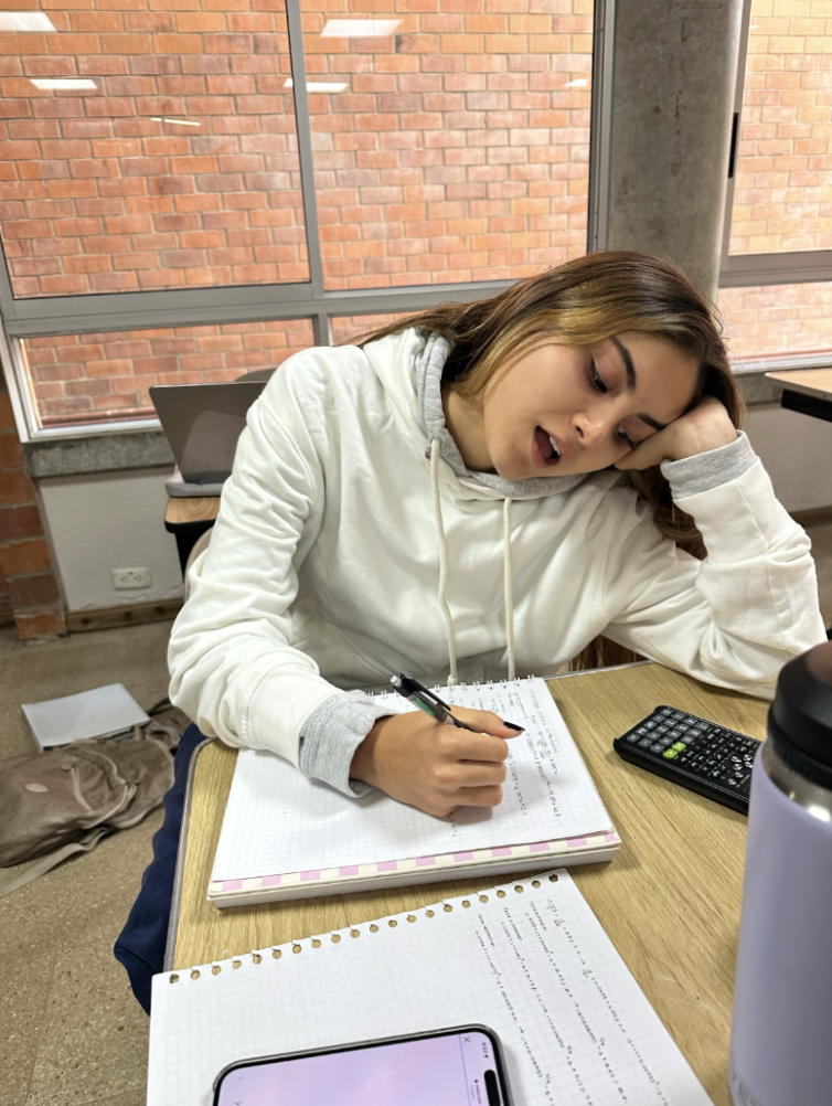 When GPA Becomes Identity: The Hidden Cost of Academic Perfection