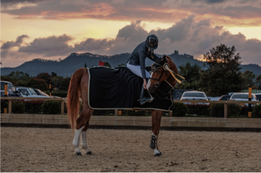 The Hidden Cost of Success: How Academic and Athletic Pressure Impacts Student Mental Health