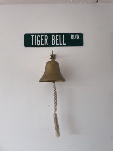 Passion or Pressure? How TCS Students Are Navigating their Career Choices