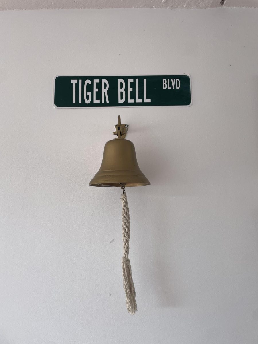 Passion or Pressure? How TCS Students Are Navigating their Career Choices