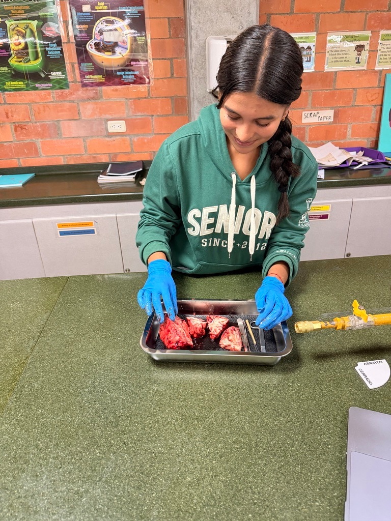 The AI Advantage: How Students Using Artificial Intelligence Are Changing the Way Schools Learn